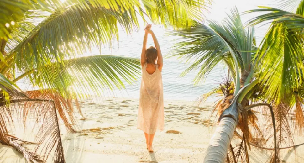 Le programme SILHOUETTE au naturel de François-Nature