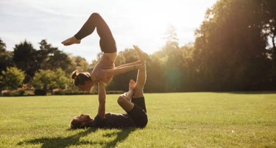 Boswellia serrata et baume du tigre : Nos incontournables pour soulager vos douleurs