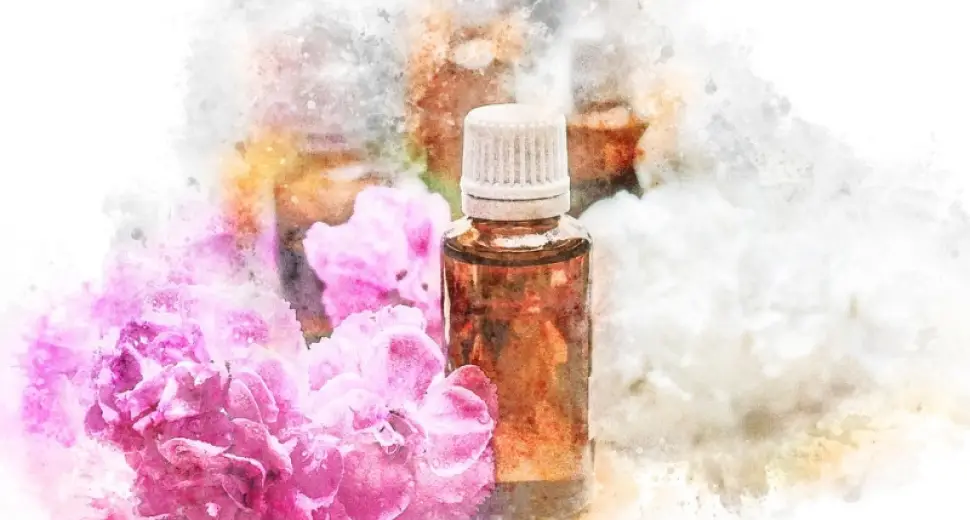 Les bienfaits de l'huile de HAARLEM