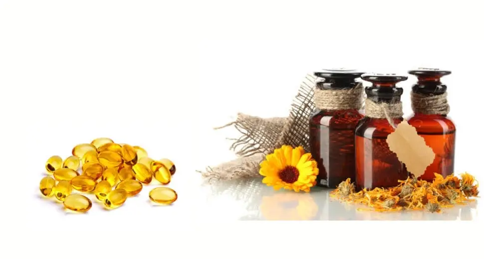 Quelle huile utiliser ?  Pour Qui ? Pour Quoi ?