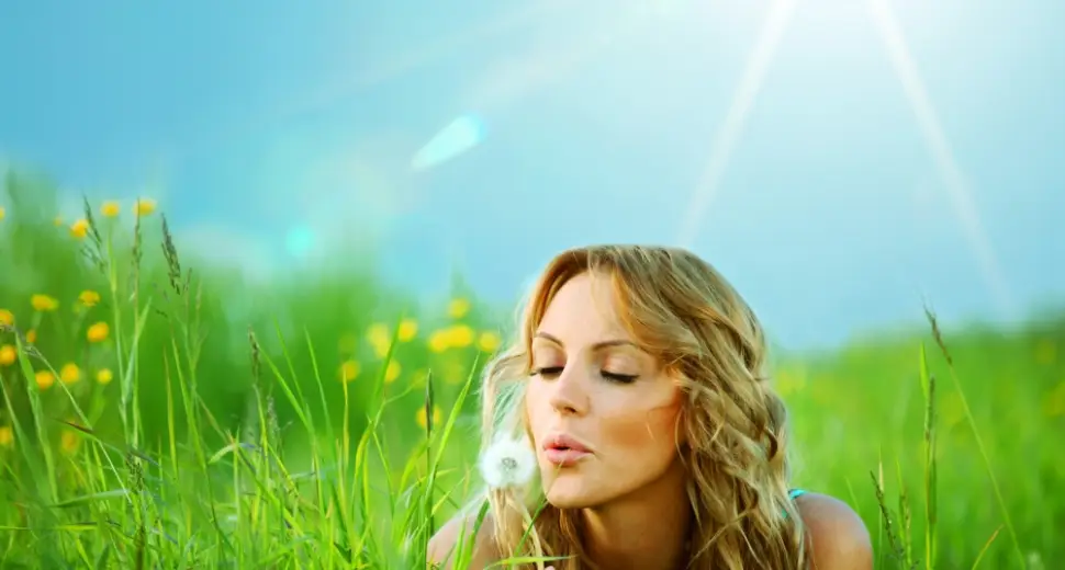 Les plantes du cycle féminin