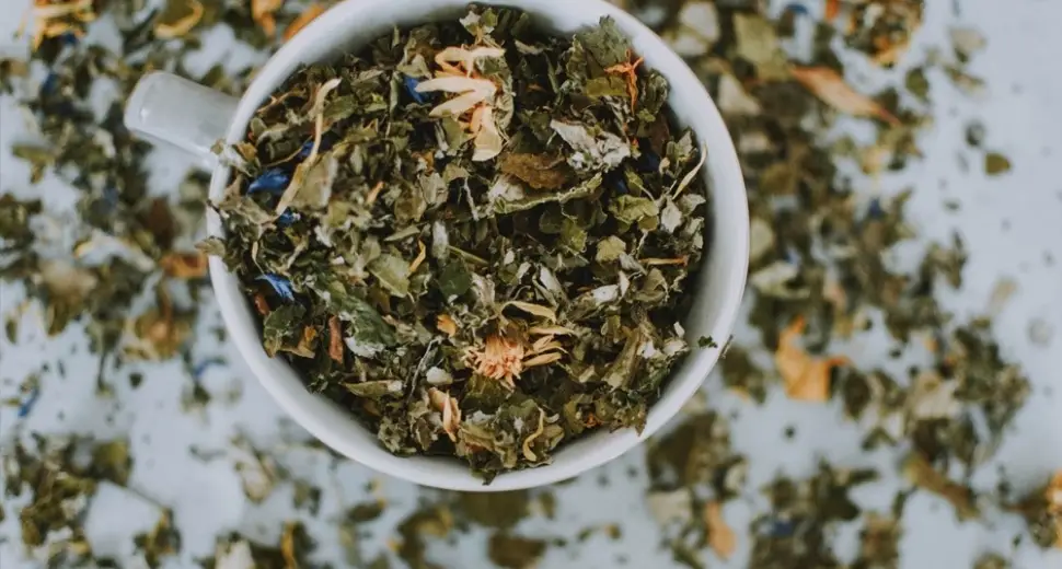 Coté Herboristerie : Nos 5 tisanes anti-stress & relaxantes