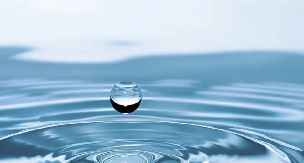 Tout savoir sur le Collagène Marin & ses bienfaits