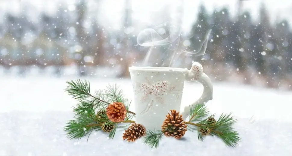 Côté herboristerie : les infusions de l’hiver : Thym, échinacée et gingembre