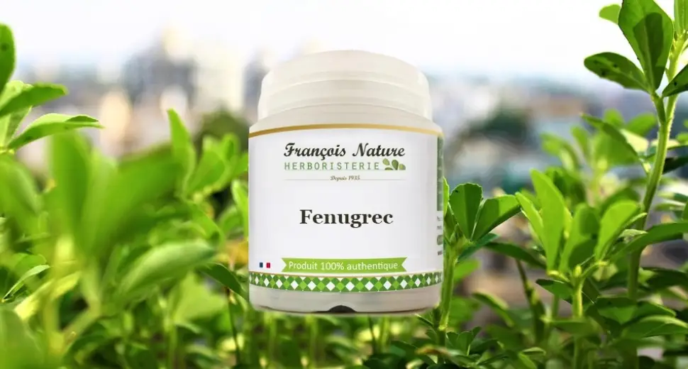Un complément alimentaire pour grossir : le fenugrec