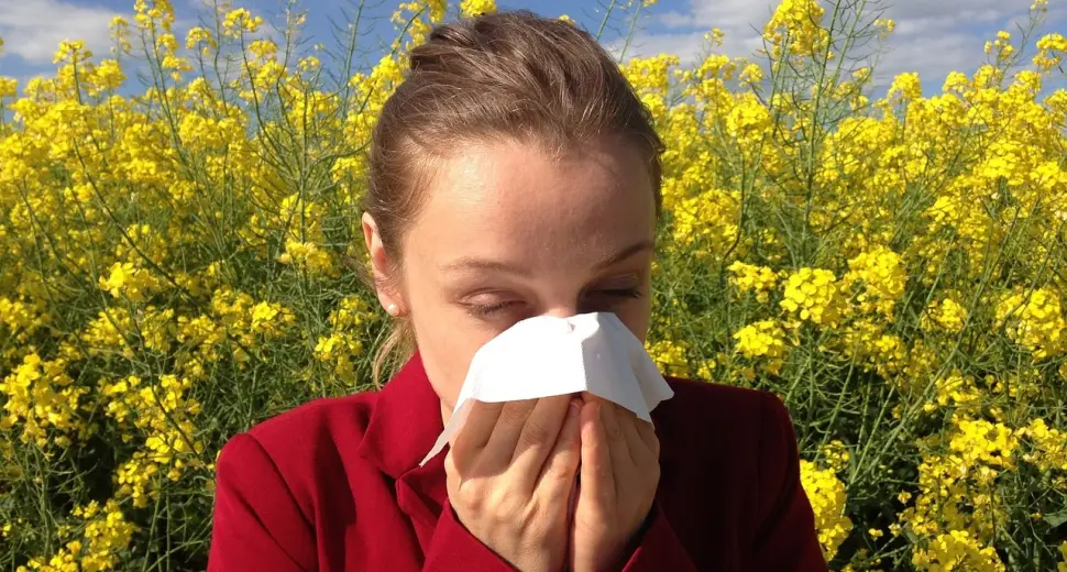 Le Retour des allergies !