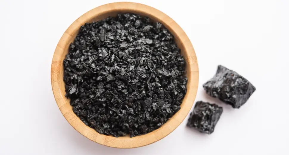 Le shilajit, les larmes de l'Himalaya