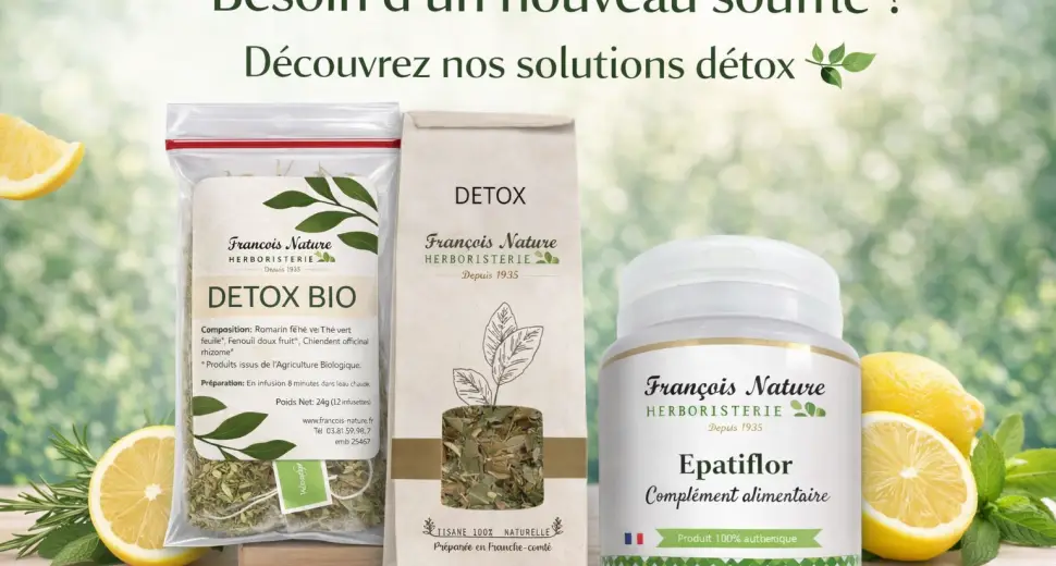 Détox au naturel : comment purifier son corps en douceur ?