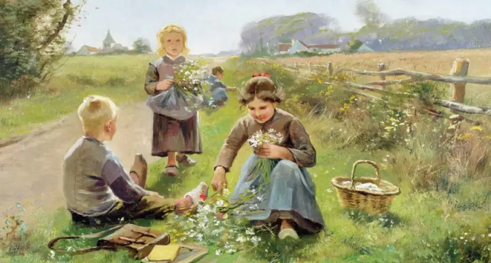 Cueillette de juillet : Les plantes médicinales du mois