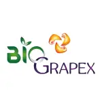Grapex