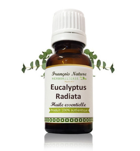 Eucalyptus Radiata feuille Huile essentielle Bio