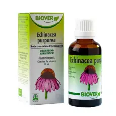 Echinacea teinture BIO