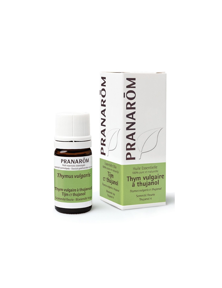 Thym thujanol Huile essentielle