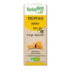Propolis concentré junior - Extrait de bourgeons frais BIO DDM