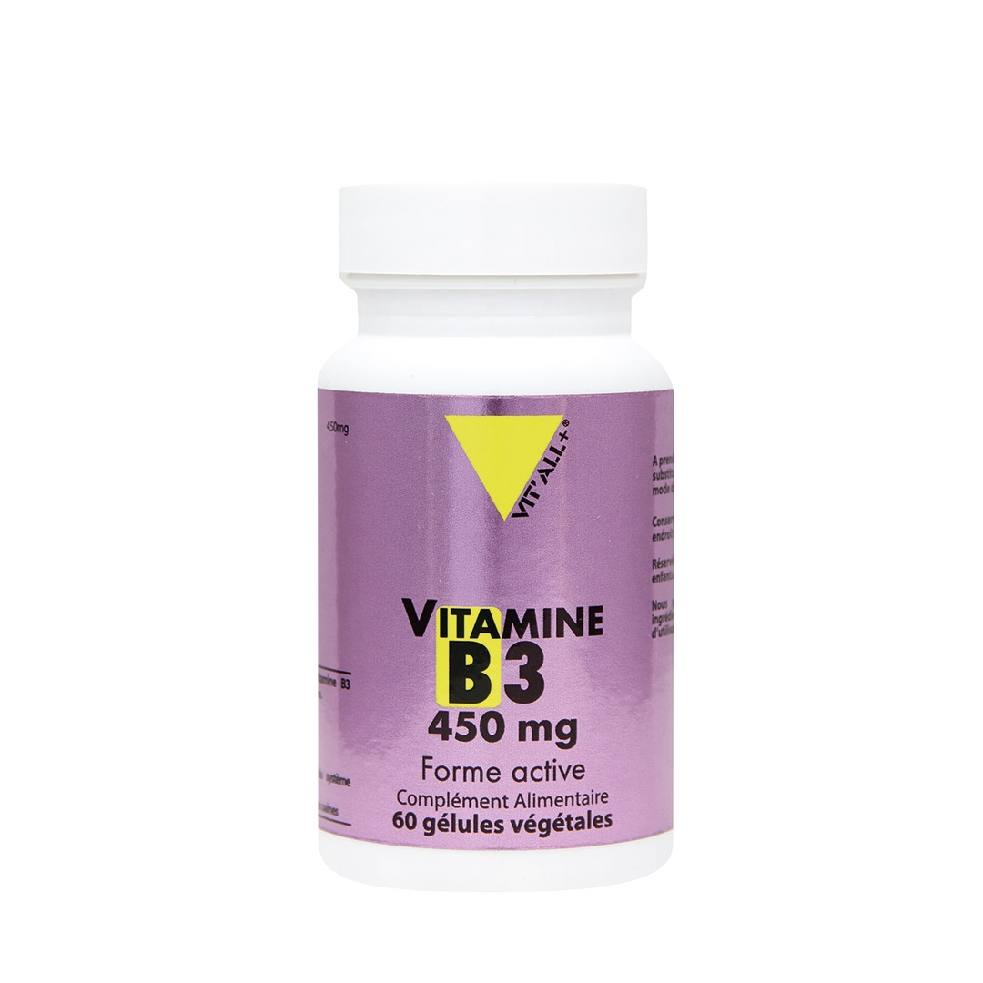 Vitamine B3 450mg 60 gélules