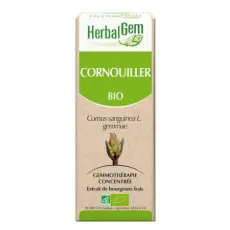 Cornouiller - Macérat concentré de bourgeons BIO 30 ml