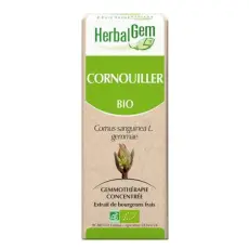 Cornouiller - Macérat concentré de bourgeons BIO 