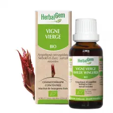 Vigne vierge - Macérat concentré de bourgeons BIO 30 ml