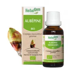 Aubépine - Macérat concentré de bourgeons BIO