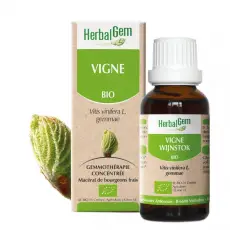 Vigne - Macérat concentré de bourgeons BIO 30 ml