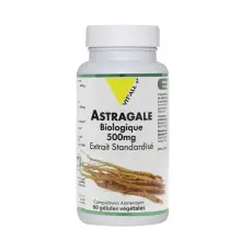 Astragale 500 mg 60 gélules