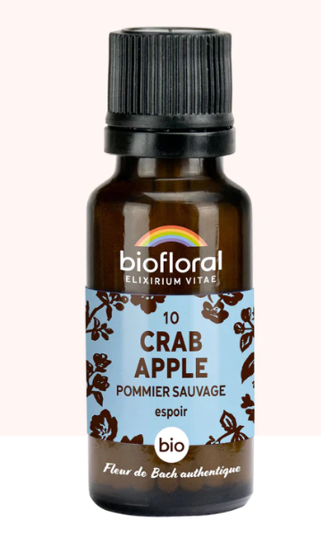 Crab apple - Pommier sauvage N°10
