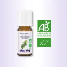 Eucalyptus citronné - Huile essentielle BIO