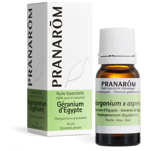 Géranium d'Egypte Huile essentielle