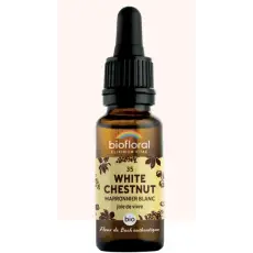  White chestnut - Marronnier blanc N°35