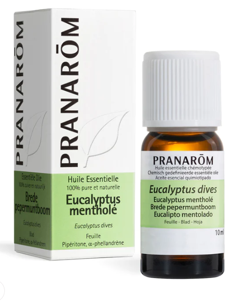 Eucalyptus mentholé Huile essentielle BIO