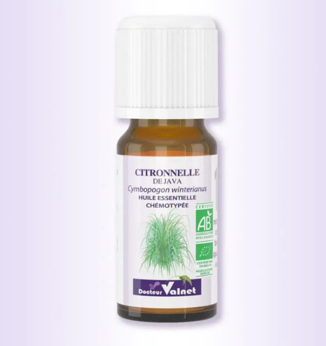 Citronnelle Java - Huile essentielle BIO