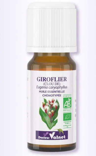 Giroflier - Huile essentielle BIO