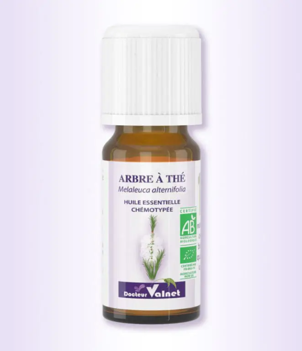 Arbre à thé - Huile essentielle BIO - tea tree