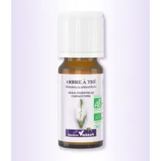 Arbre à thé - Huile essentielle BIO - tea tree