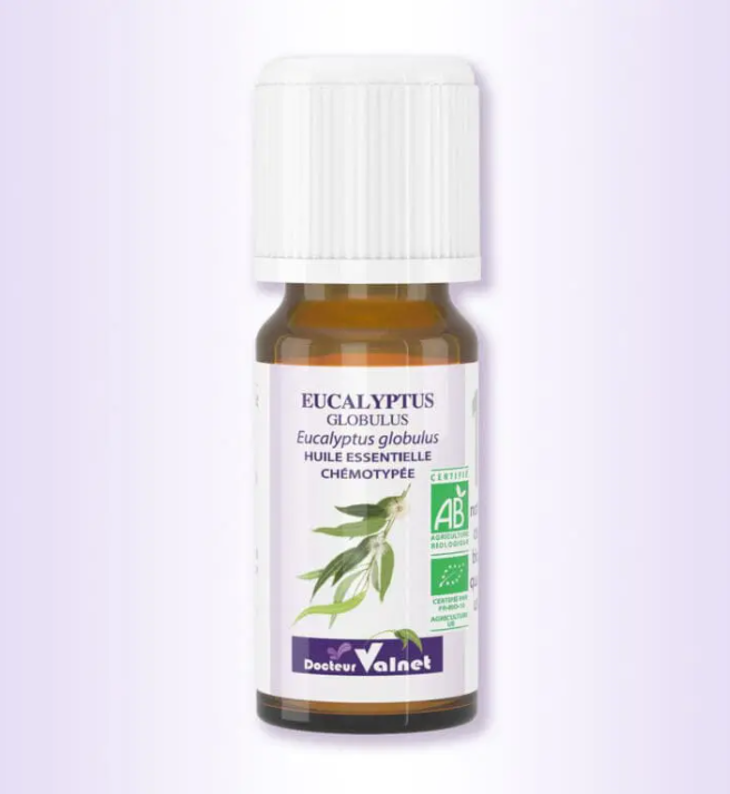 Eucalyptus globulus - Huile essentielle BIO