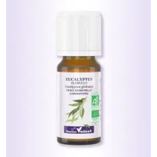 Eucalyptus globulus - Huile essentielle BIO