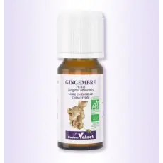 Gingembre frais - Huile essentielle BIO