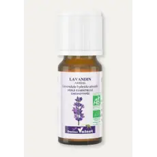 Lavandin abrial - Huile essentielle BIO