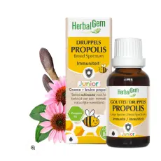 Propolis concentré junior - Extrait de bourgeons frais BIO