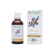 Millepertuis PHYTO, Complément Alimentaire BIO