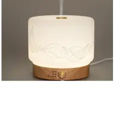Lisalia diffuseur ultrasonique