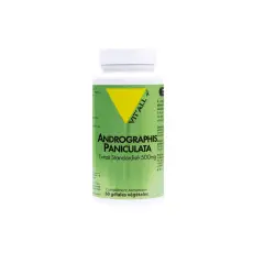 Andographis paniculata 500 mg 60 gélules végétales