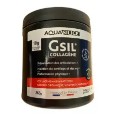 GSIL Collagène Saveur cacao poudre
