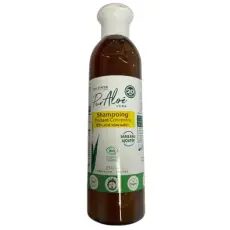 Shampooing traitant Aloé Vera BIO 