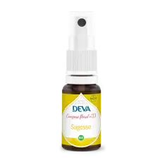 Sagesse composé floral N°13 spray