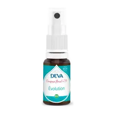 Evolution composé floral N°14 spray