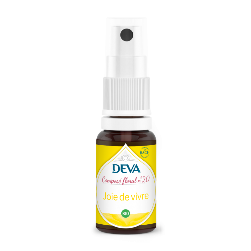 Joie de vivre composé floral N°20 spray