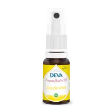 Joie de vivre composé floral N°20 spray