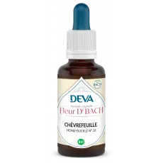 Chevrefeuille - Honeysuckle Elixir floral 