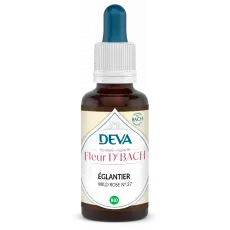 Eglantier -Wild rose Elixir floral 